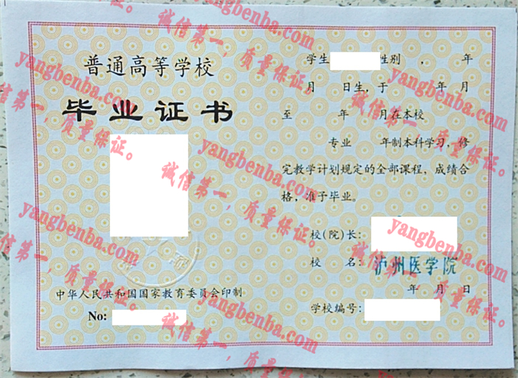 泸州医学院毕业证样本