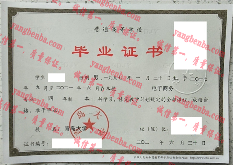 青岛大学毕业证样本