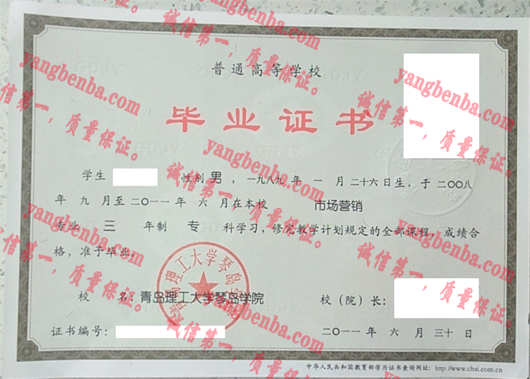 青岛理工大学琴岛学院毕业证样本