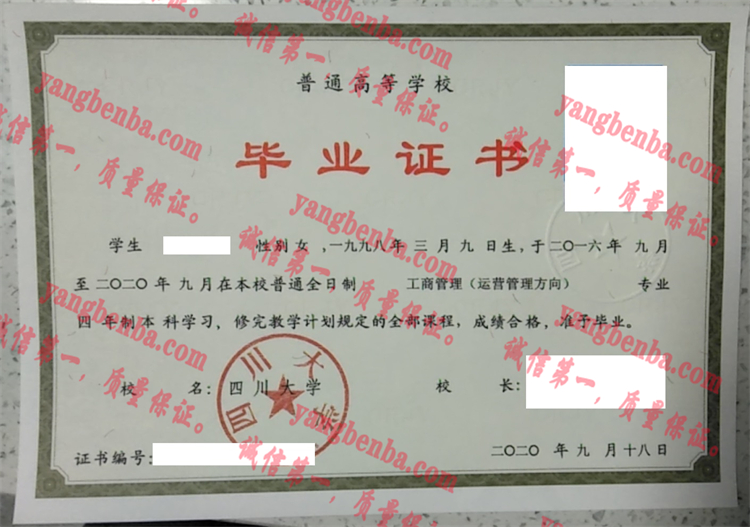 四川大学毕业证样本