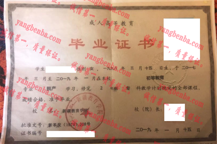 新疆教育学院毕业证样本