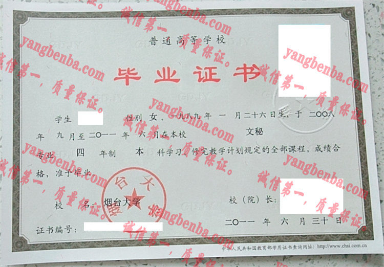 烟台大学毕业证样本