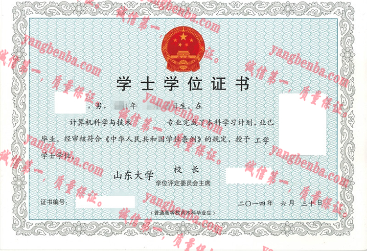 山东大学毕业证样本