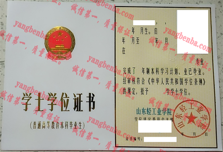 山东轻工业学院毕业证样本