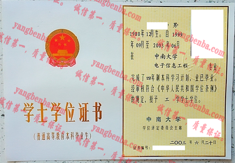 中南大学毕业证样本