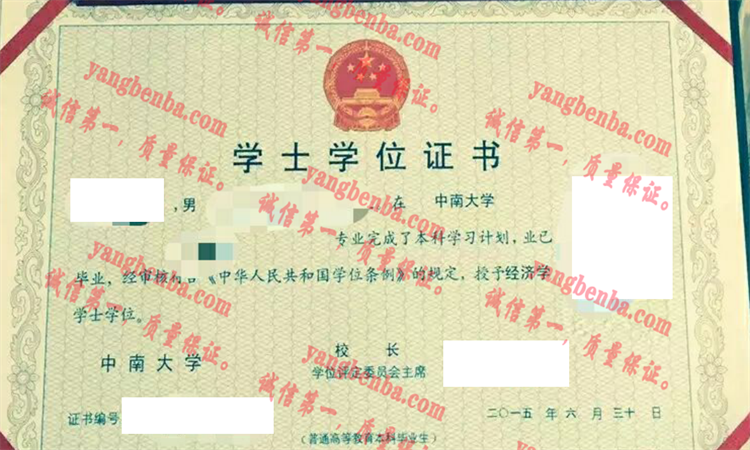 中南大学毕业证样本