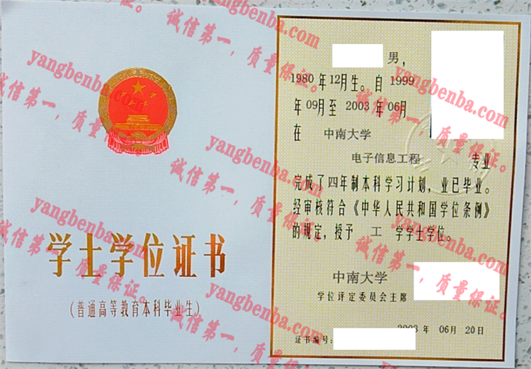 中南大学毕业证样本