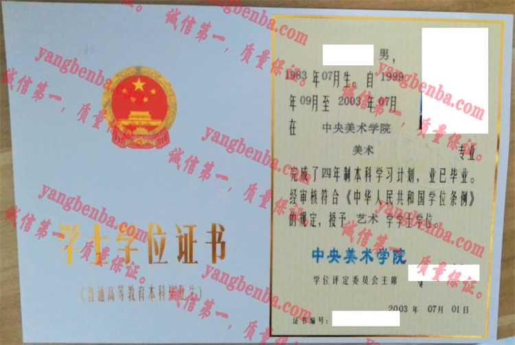 中央美术学院毕业证样本