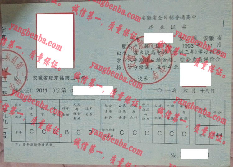安徽省肥东县第三中学毕业证样本