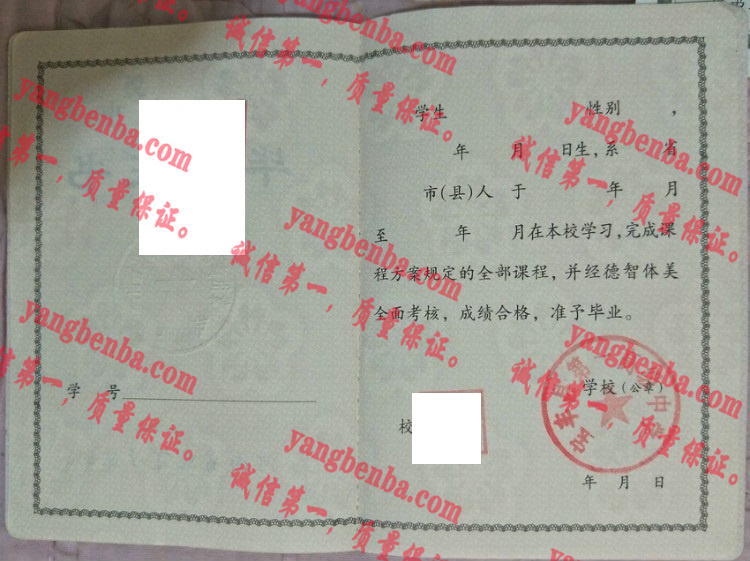 宝丰县第一高级中学毕业证样本