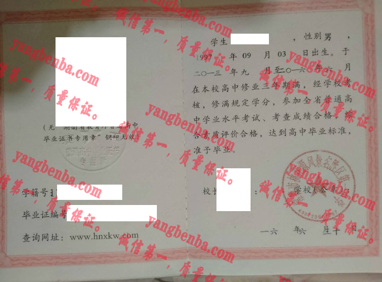 常德市桃花源风景名胜区第一中学毕业证样本