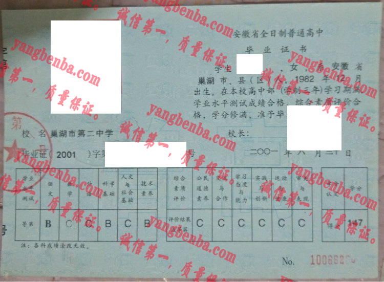 巢湖市第二中学毕业证样本