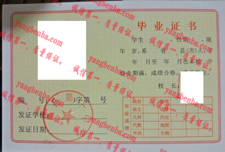 巢县第一中学毕业证样本