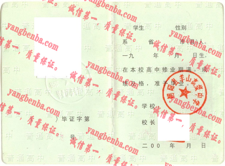 朝阳县羊山高级中学毕业证样本