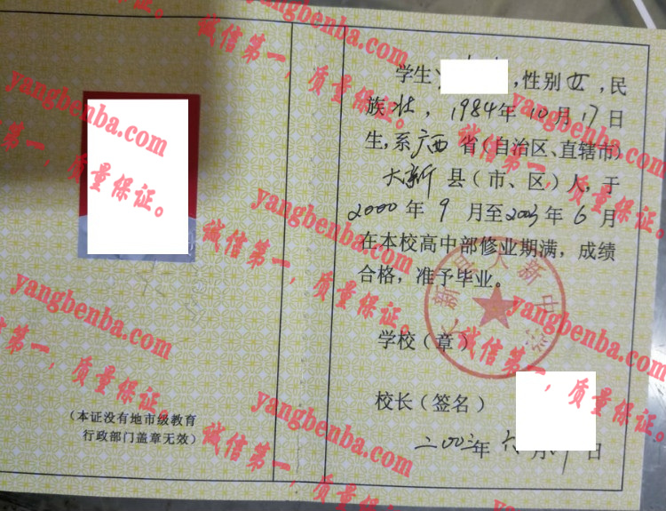 大新县大新中学毕业证样本