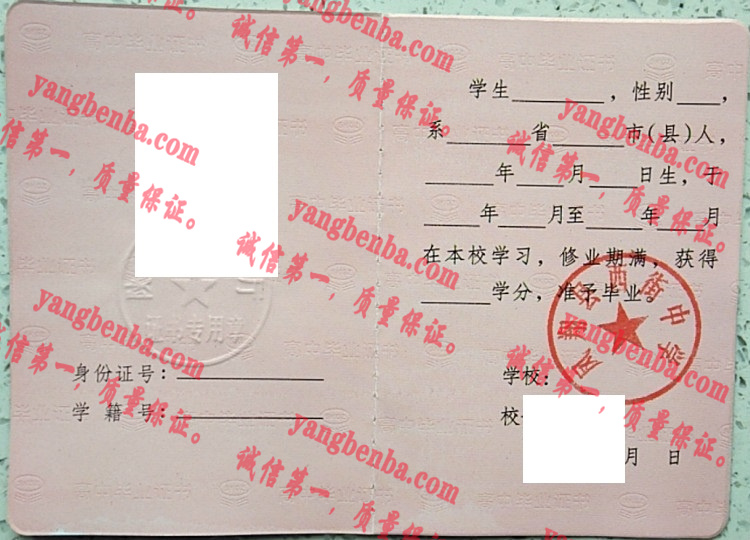 凤翔县西街中学毕业证样本