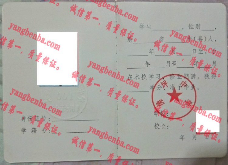 佛坪中学毕业证样本