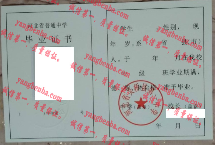 河北省吴桥县第一中学毕业证样本