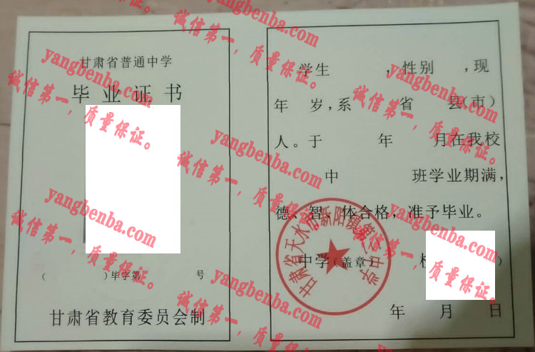 甘肃省天水市新阳镇第三中学毕业证样本