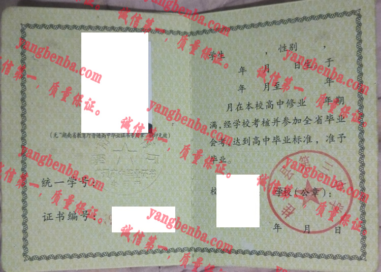 桂阳县第三中学毕业证样本