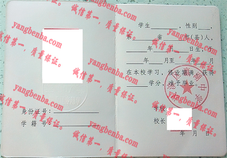 汉滨区赢湖中学毕业证样本