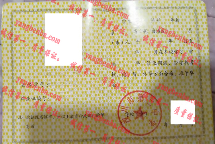 汉川市第二中学毕业证样本