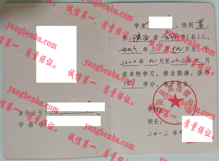 合阳县黑池镇中学毕业证样本