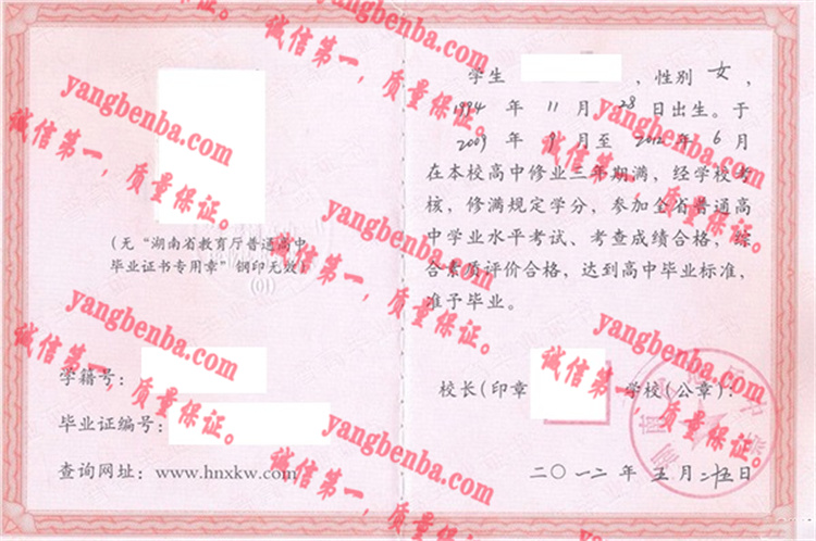 湖南省地质中学毕业证样本