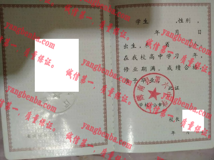 辉南县第六中学毕业证样本
