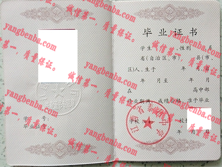 江西省泰和中学毕业证样本