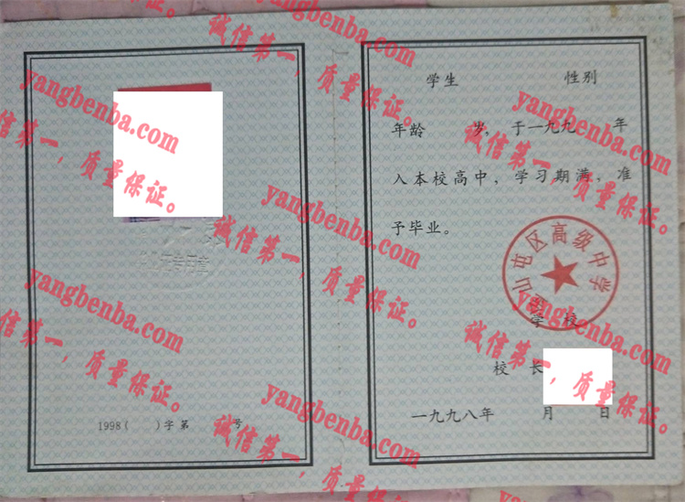 金山屯区高级中学毕业证样本