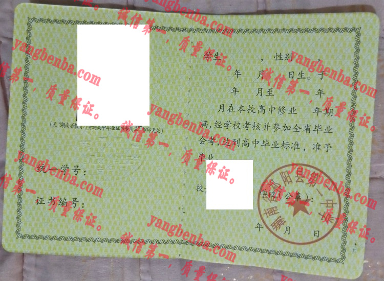 湖南省祁阳县第二中学毕业证样本