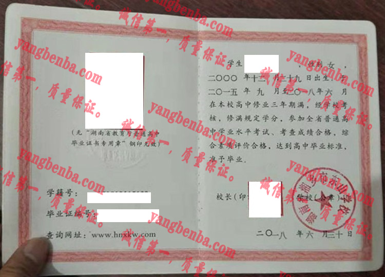 湖南省湘乡市东山学校毕业证样本