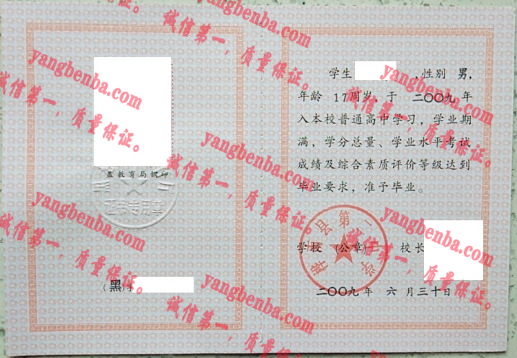 桦南县第二中学毕业证样本