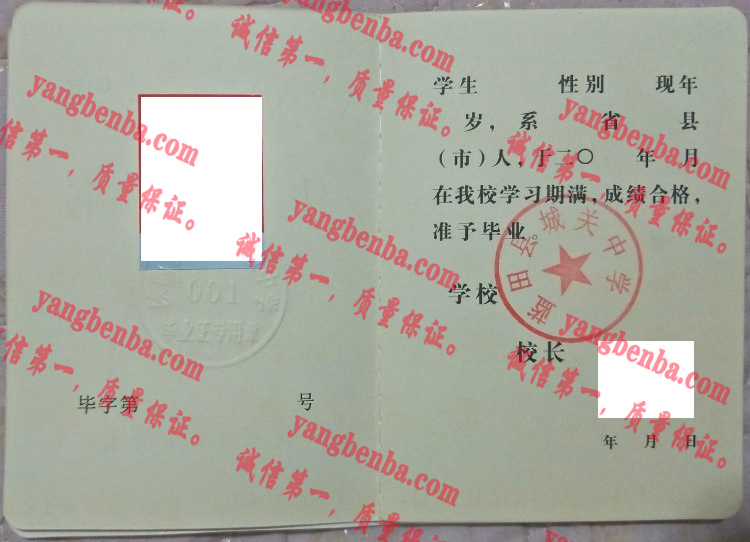 蓝田县城关中学毕业证样本
