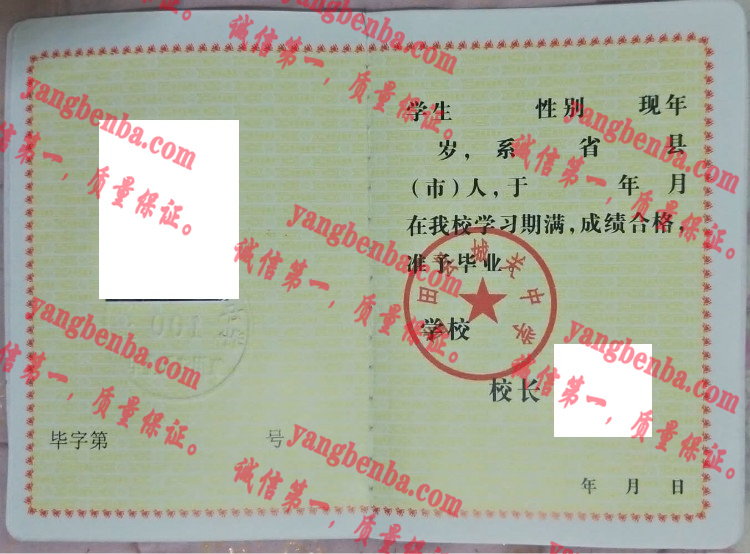 蓝田县城关中学毕业证样本