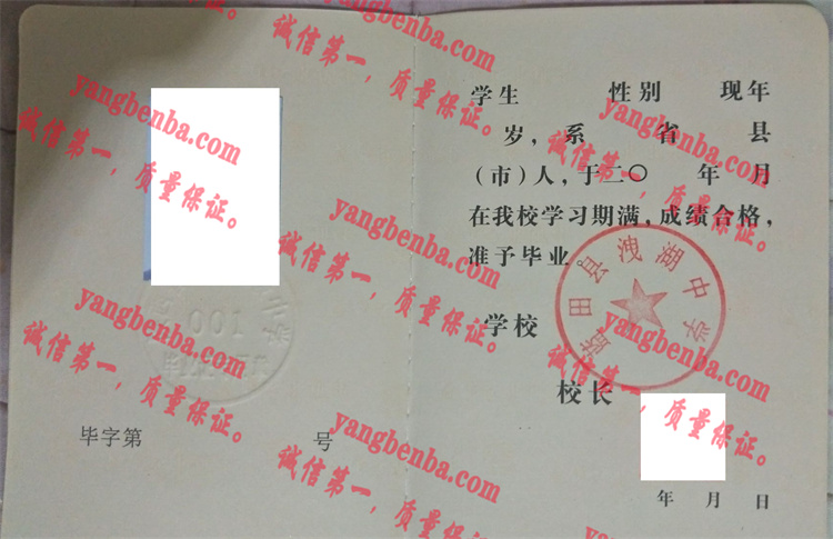 蓝田县洩湖中学毕业证样本