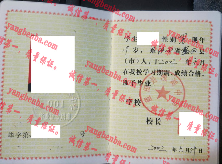 蓝田县洩湖中学毕业证样本