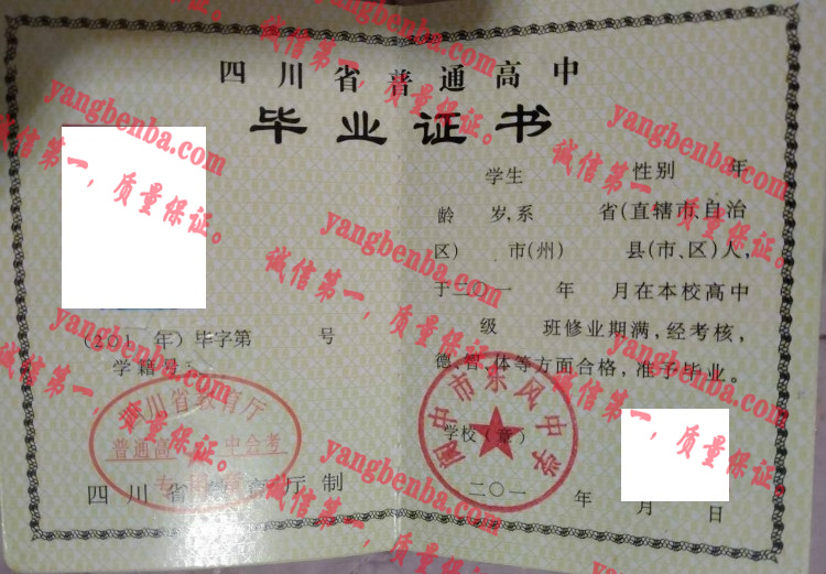 阆中市东风中学毕业证样本