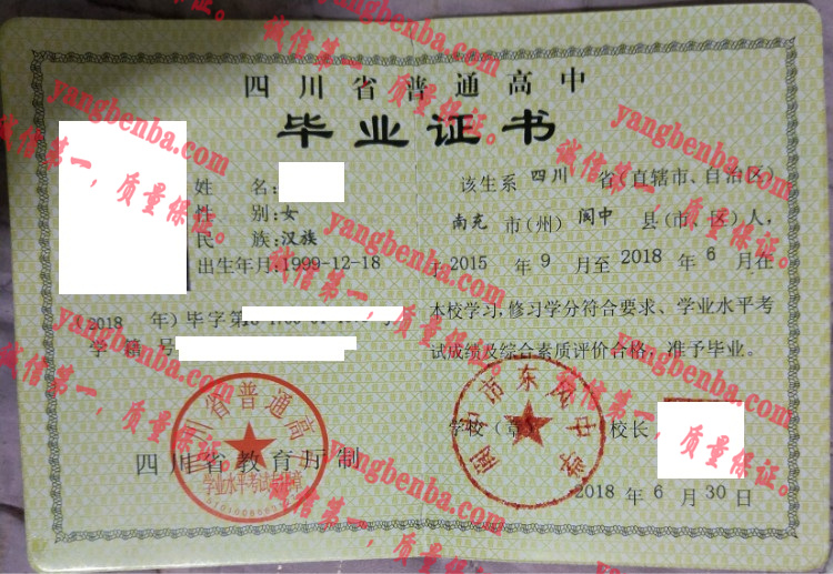 阆中市东风中学毕业证样本