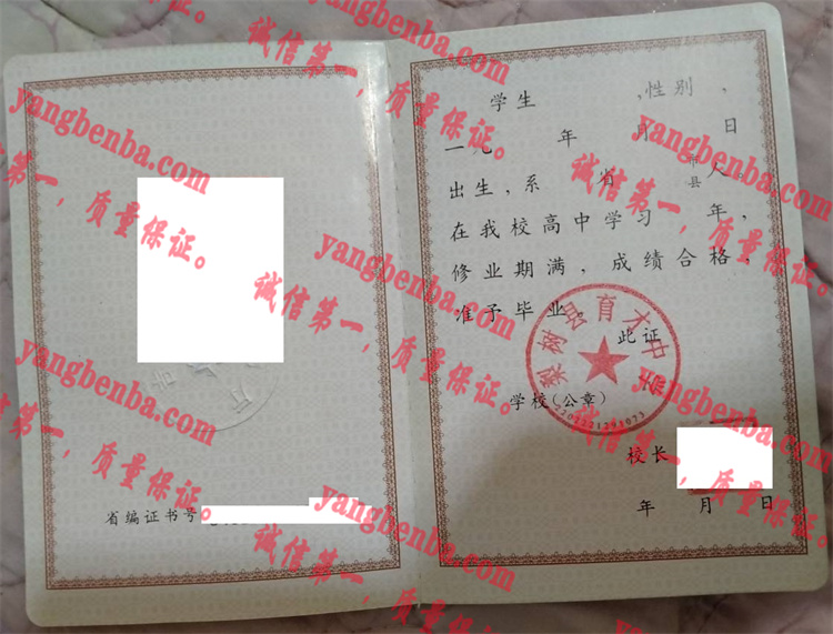 梨树县育才中学毕业证样本