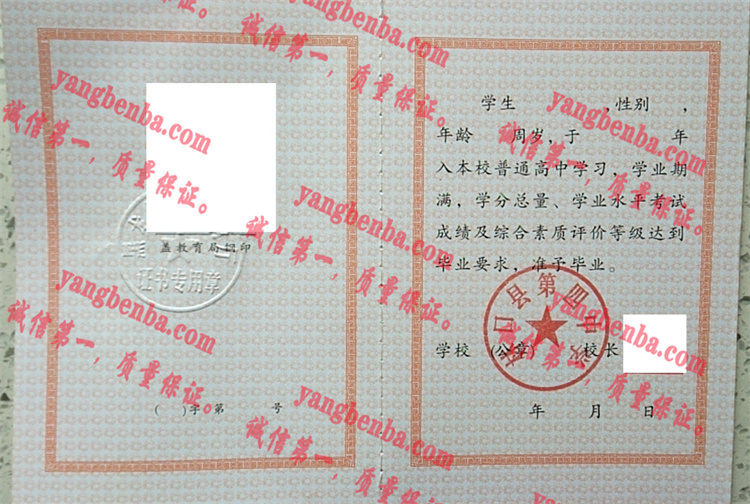 林口县第四中学毕业证样本