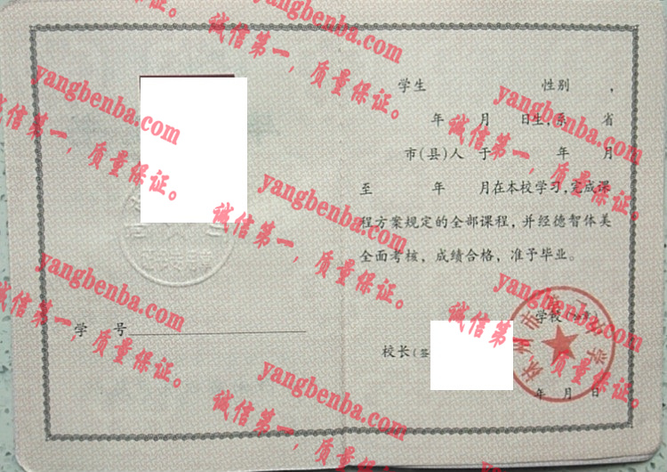 林州市第二中学毕业证样本