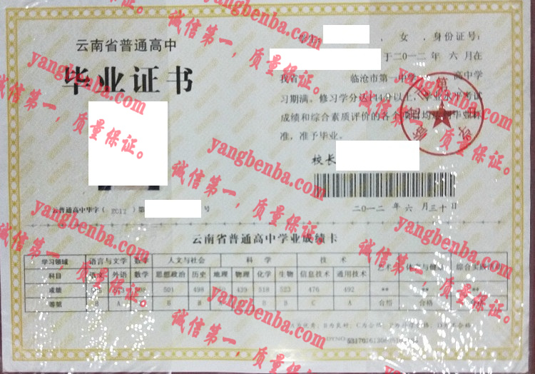 临沧市第一中学毕业证样本