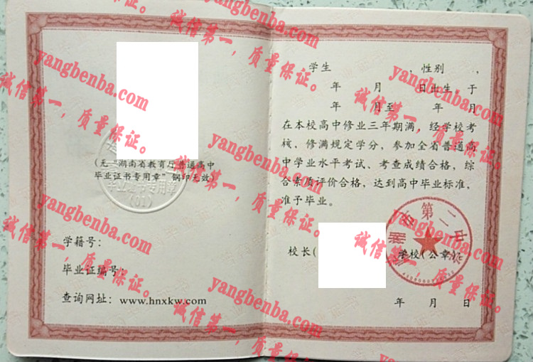 临湘市第二中学毕业证样本