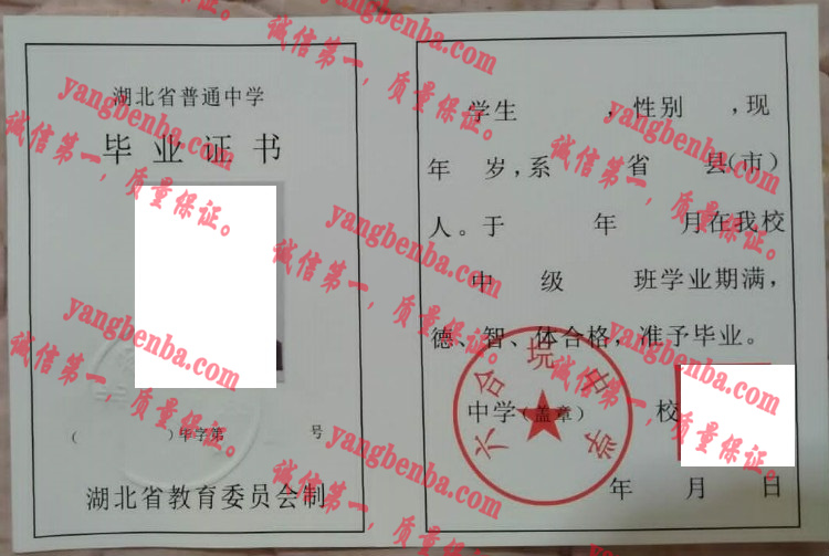 六合垸中学毕业证样本