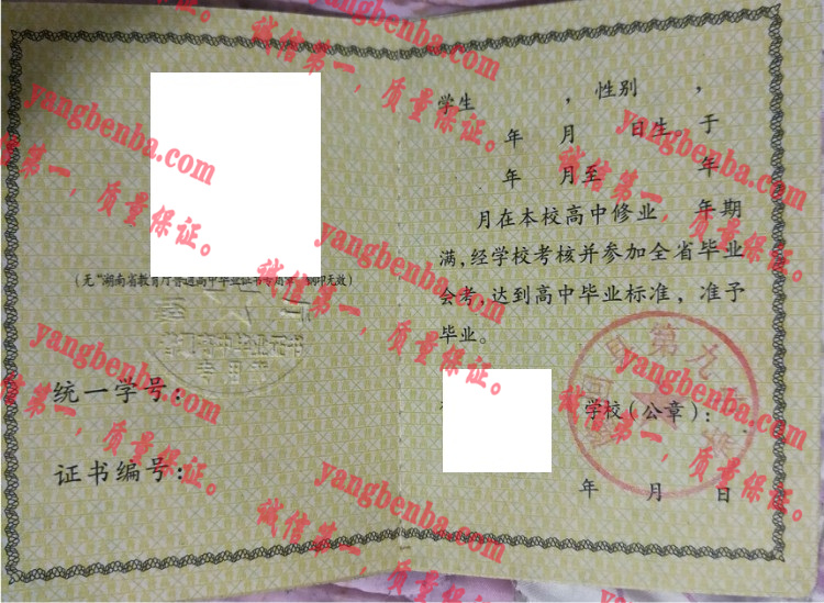 隆回县第九中学毕业证样本