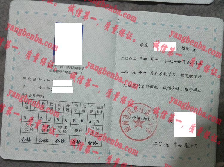 陇南市五斗渠第二中学毕业证样本