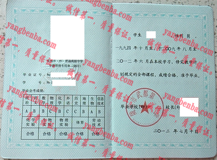 陇南市武都第二中学毕业证样本