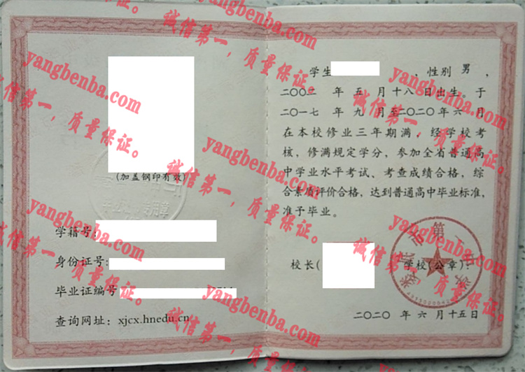 娄底市第一中学毕业证样本